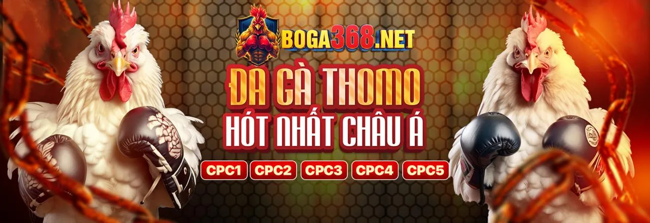 Đá gà trực tuyến kịch tính tại f18678 cổng game chính thức 2026